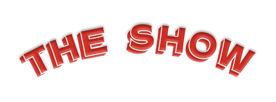 Niall Horan The Show Logo